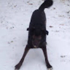 Meet your Posher, Aramie